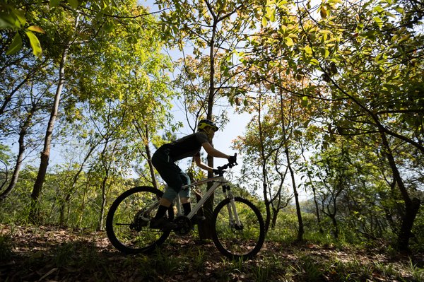 VTT dans le Puy-de-Dôme : pistes, conseils et locations